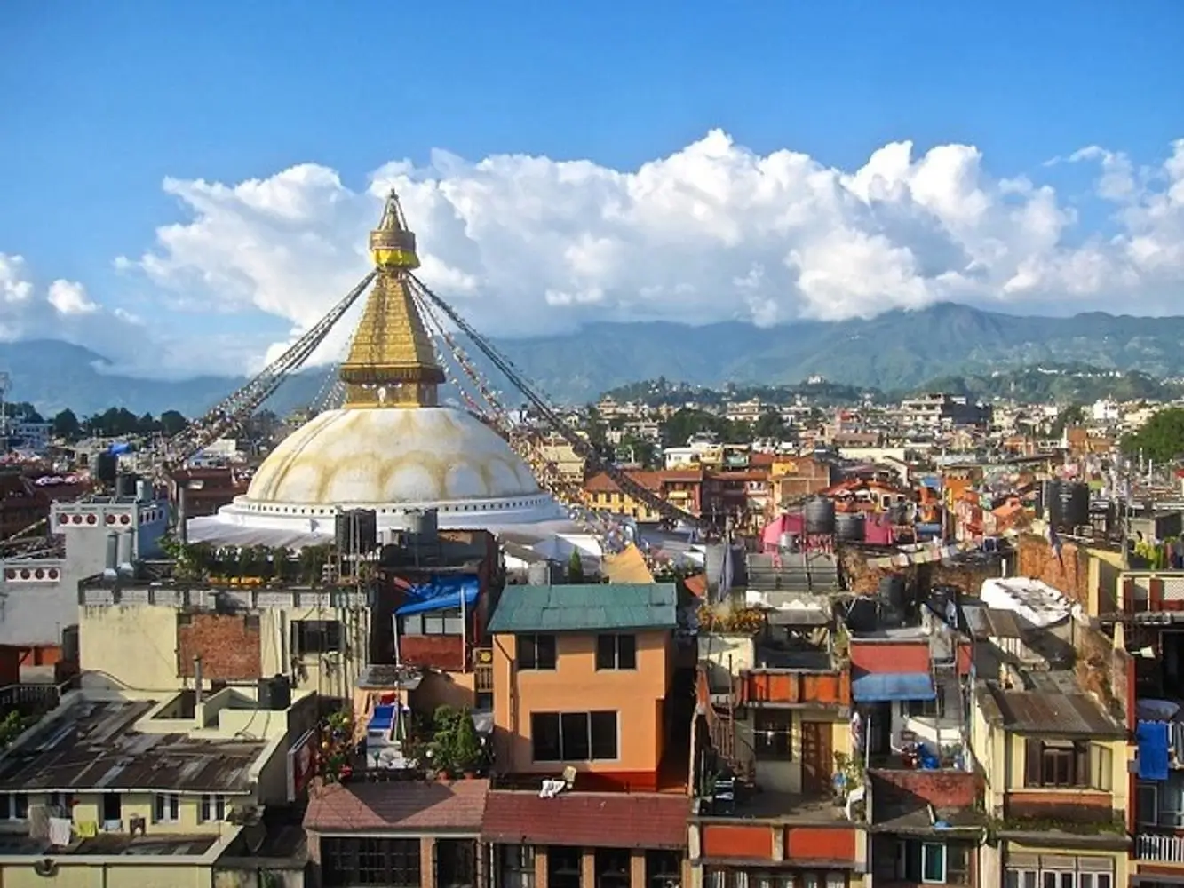 Coddiwomple Travel - 2026 Sherpa Half Marathon & 10K